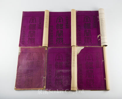 Quan Ti Chan Wei 全體闡微 [Anatomy descriptive and surgical in six volumes] 福州聖教醫舘, Foochow, 1881