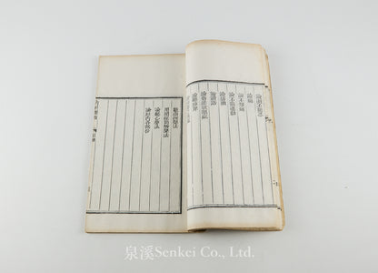 Neike Chanwei 內科闡微 [The Essentials of Internal Medicine in Chinese] 羊城博濟醫局藏板, 1873