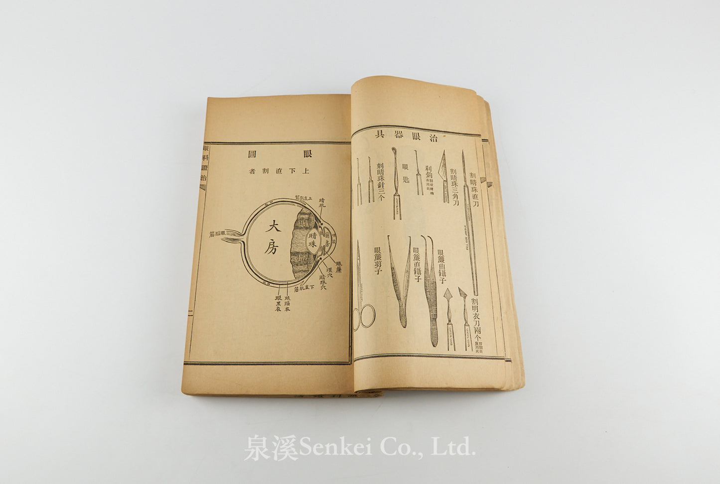 Yan ke zheng zhi 眼科證治 [Ophthalmology] 上海美華書館, 1895