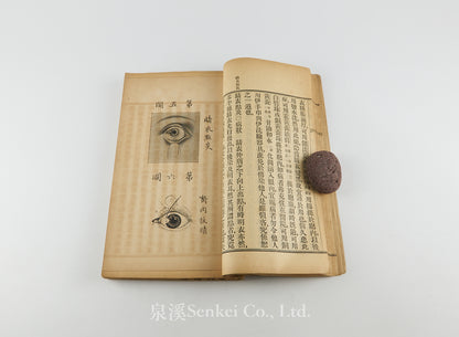 Yan ke zheng zhi 眼科證治 [Ophthalmology] 上海美華書館, 1895