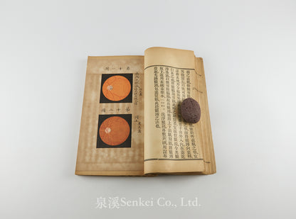 Yan ke zheng zhi 眼科證治 [Ophthalmology] 上海美華書館, 1895