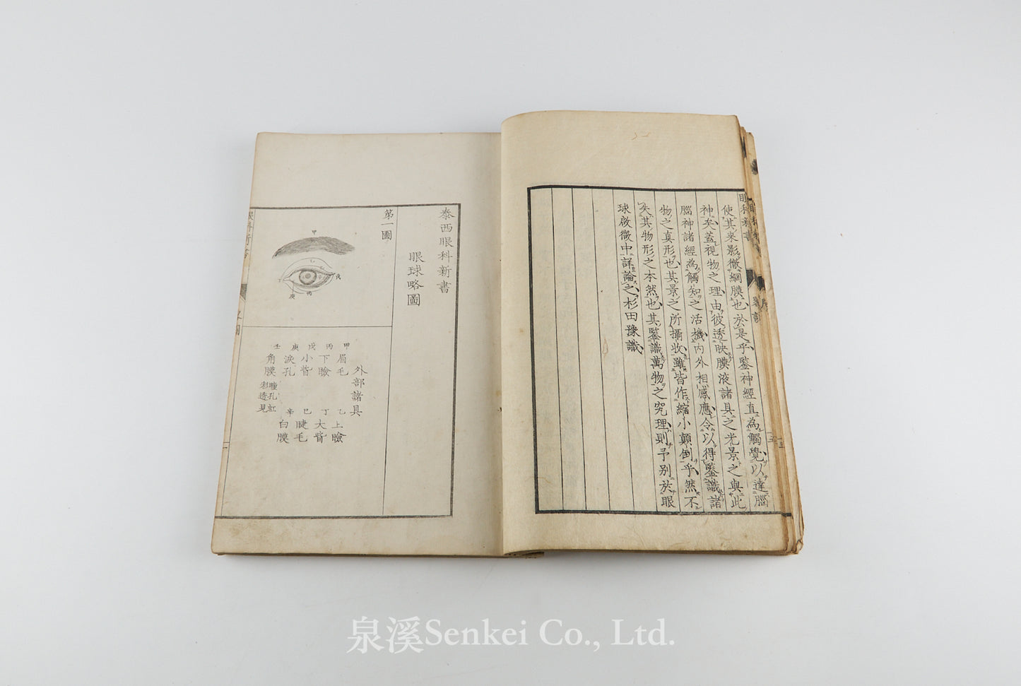 Oranda ganka shinsho 和蘭眼科新書 [Doctrina de morbis oculorum] 天真樓藏版, 1815