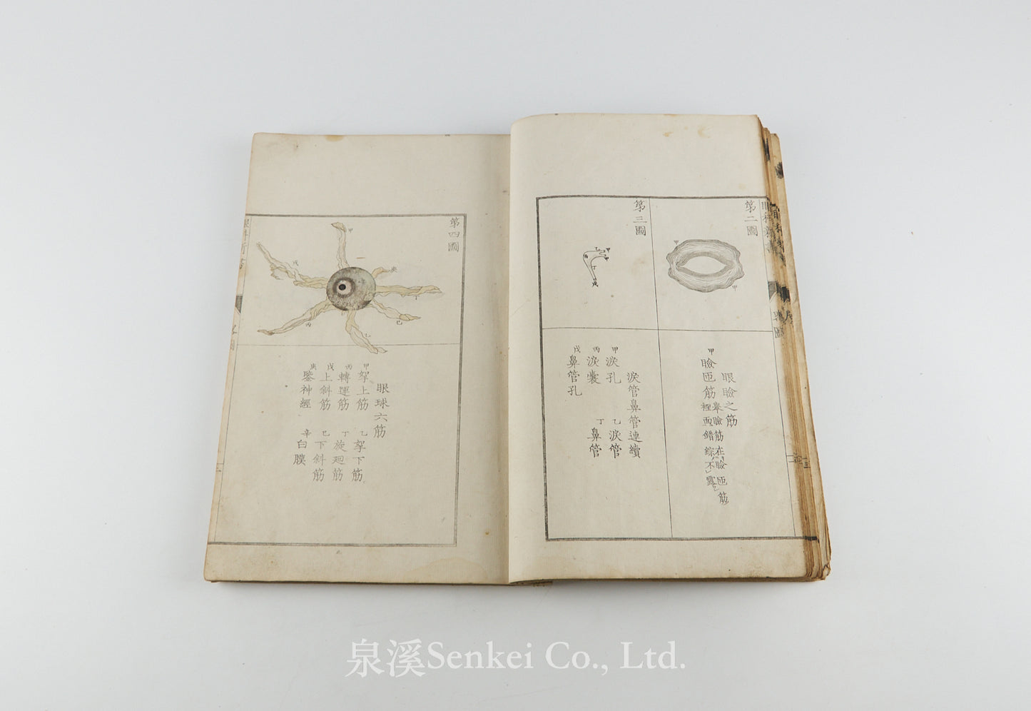 Oranda ganka shinsho 和蘭眼科新書 [Doctrina de morbis oculorum] 天真樓藏版, 1815
