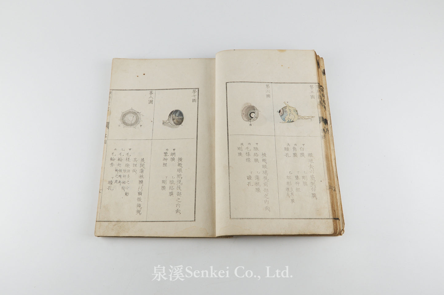 Oranda ganka shinsho 和蘭眼科新書 [Doctrina de morbis oculorum] 天真樓藏版, 1815