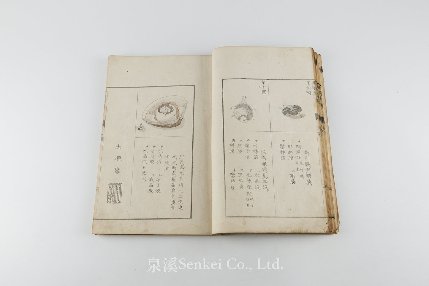 Oranda ganka shinsho 和蘭眼科新書 [Doctrina de morbis oculorum] 天真樓藏版, 1815