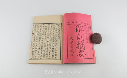 Kaibo Tekiyo 解剖摘要, 解剖摘要圖 [Outline of Anatomy] 敬虔堂藏版, 1876