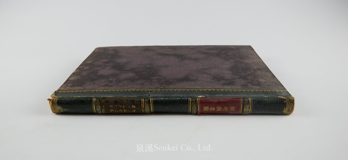 Kaibo Tekiyo 解剖摘要, 解剖摘要圖 [Outline of Anatomy] 敬虔堂藏版, 1876