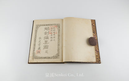 Kaibo Tekiyo 解剖摘要, 解剖摘要圖 [Outline of Anatomy] 敬虔堂藏版, 1876