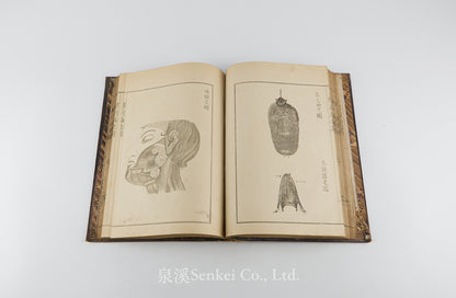 Kaibo Tekiyo 解剖摘要, 解剖摘要圖 [Outline of Anatomy] 敬虔堂藏版, 1876