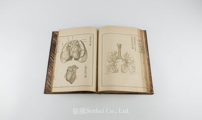 Kaibo Tekiyo 解剖摘要, 解剖摘要圖 [Outline of Anatomy] 敬虔堂藏版, 1876