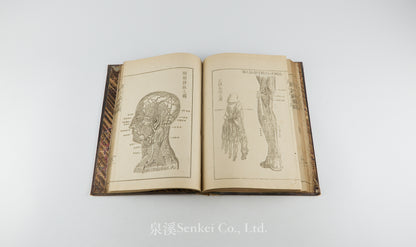 Kaibo Tekiyo 解剖摘要, 解剖摘要圖 [Outline of Anatomy] 敬虔堂藏版, 1876