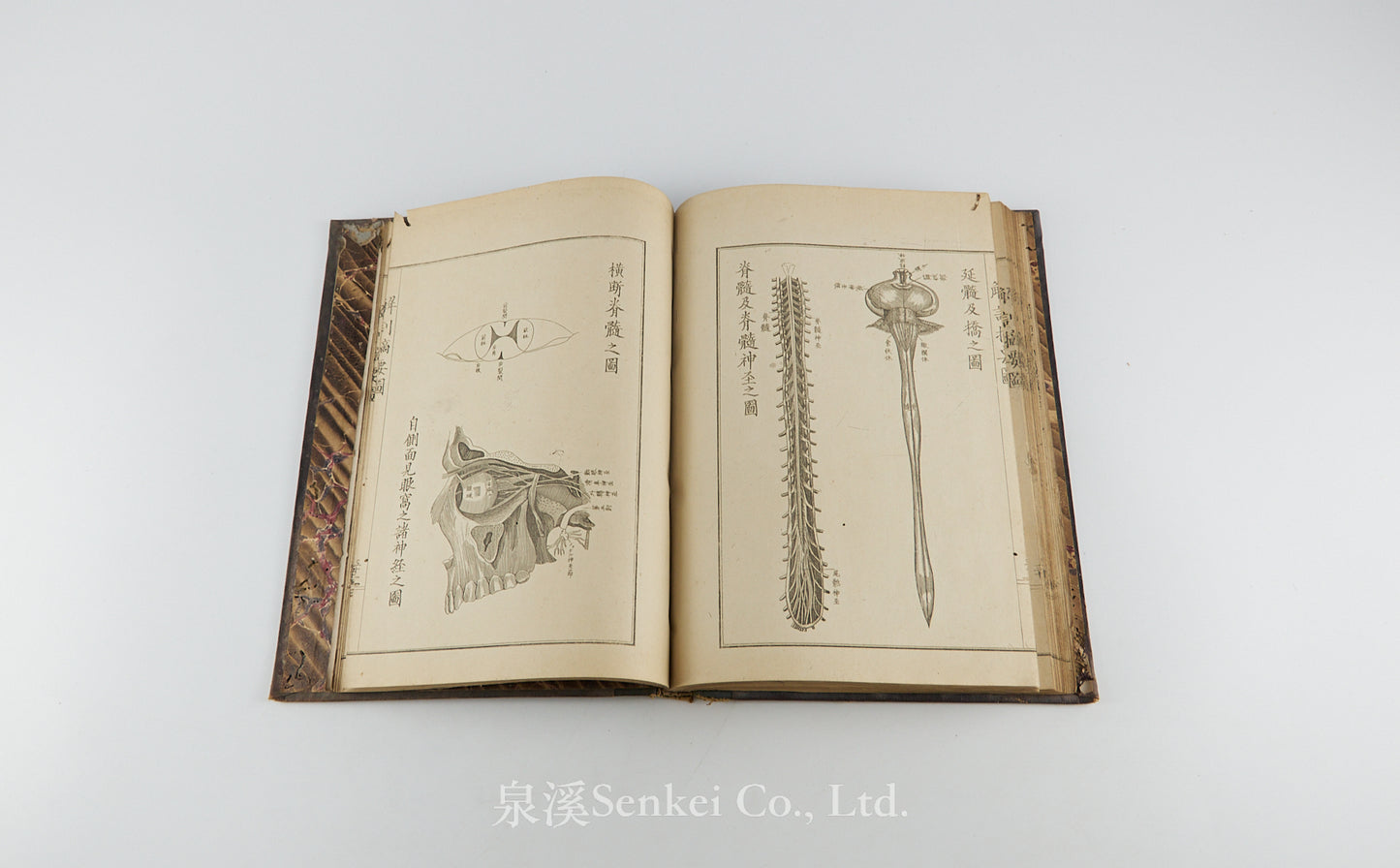 Kaibo Tekiyo 解剖摘要, 解剖摘要圖 [Outline of Anatomy] 敬虔堂藏版, 1876
