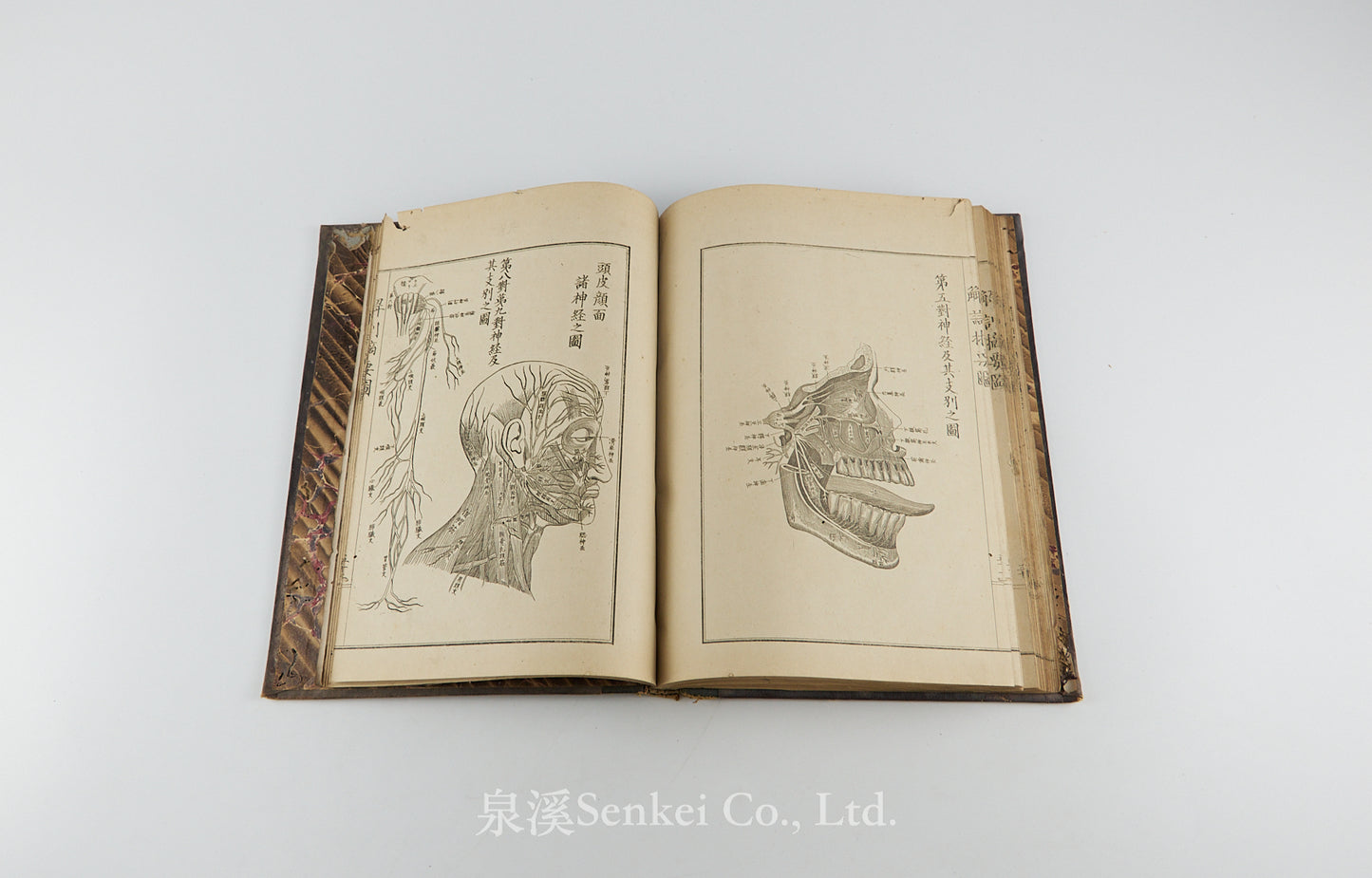 Kaibo Tekiyo 解剖摘要, 解剖摘要圖 [Outline of Anatomy] 敬虔堂藏版, 1876
