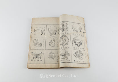Quan Ti Xin Lun 全體新論 [A New Treatise on Anatomy] 江蘇上海墨海書館, 1851
