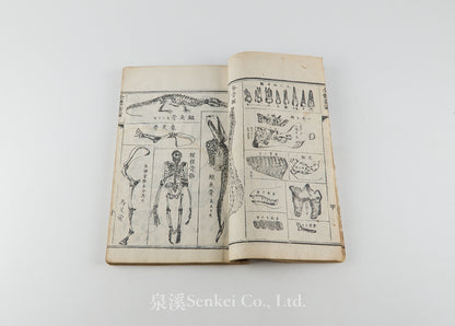 Quan Ti Xin Lun 全體新論 [A New Treatise on Anatomy] 江蘇上海墨海書館, 1851