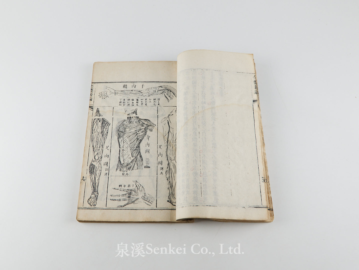 Quan Ti Xin Lun 全體新論 [A New Treatise on Anatomy] 江蘇上海墨海書館, 1851