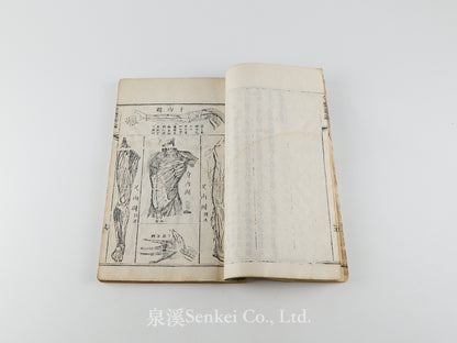 Quan Ti Xin Lun 全體新論 [A New Treatise on Anatomy] 江蘇上海墨海書館, 1851