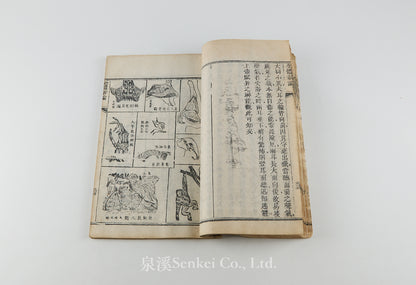 Quan Ti Xin Lun 全體新論 [A New Treatise on Anatomy] 江蘇上海墨海書館, 1851