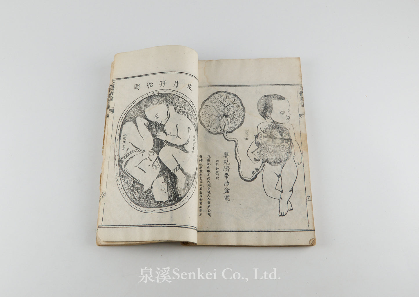 Quan Ti Xin Lun 全體新論 [A New Treatise on Anatomy] 江蘇上海墨海書館, 1851