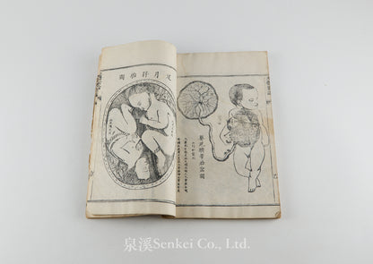 Quan Ti Xin Lun 全體新論 [A New Treatise on Anatomy] 江蘇上海墨海書館, 1851