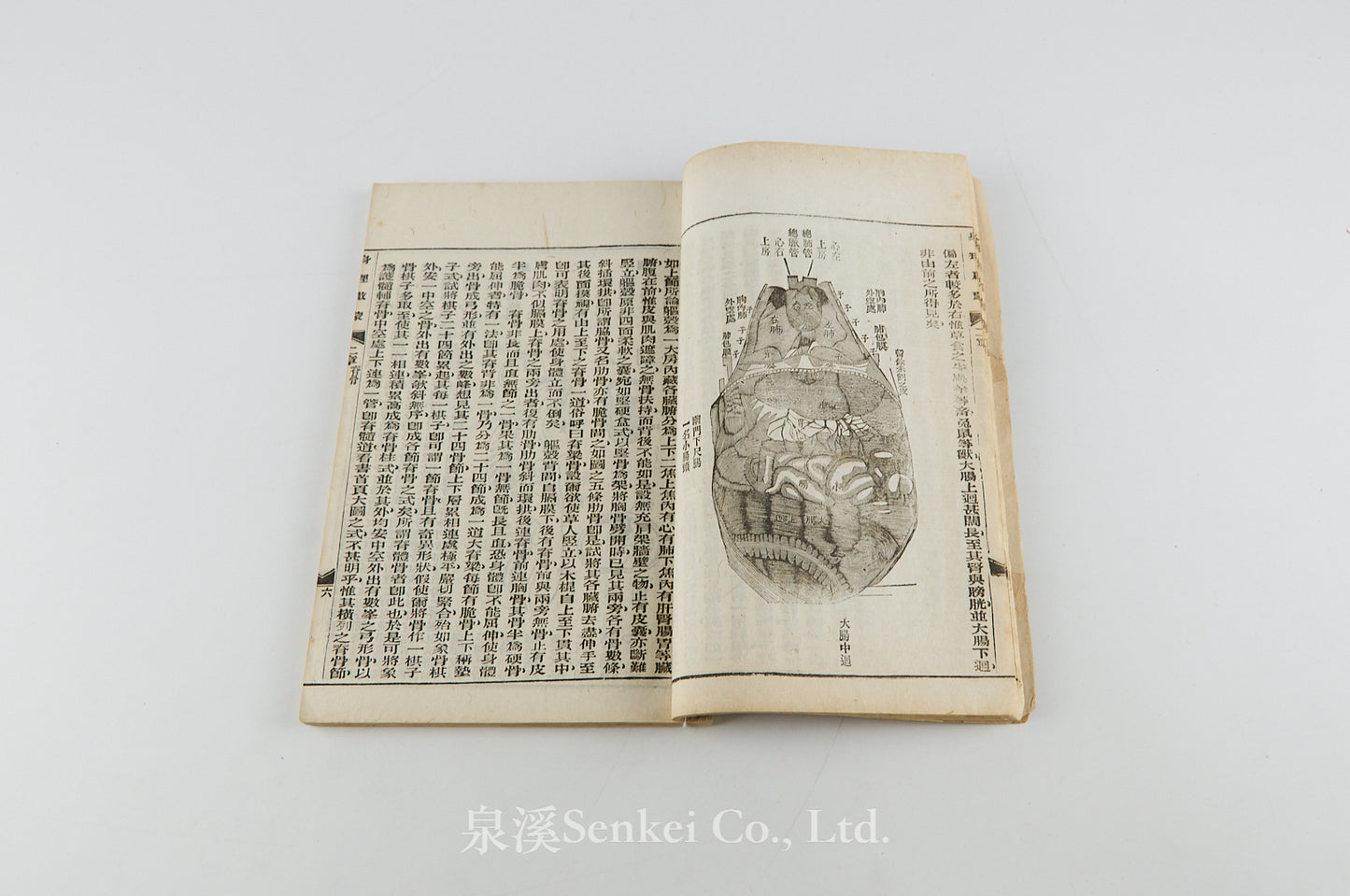 Shen Li Qi Meng 身理啟蒙 [Physiology Primer] Shanghai, 1898