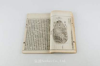 Shen Li Qi Meng 身理啟蒙 [Physiology Primer] Shanghai, 1898