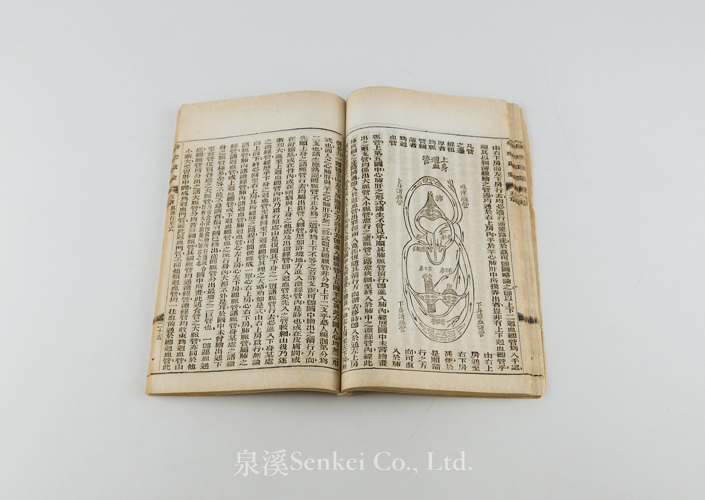 Shen Li Qi Meng 身理啟蒙 [Physiology Primer] Shanghai, 1898