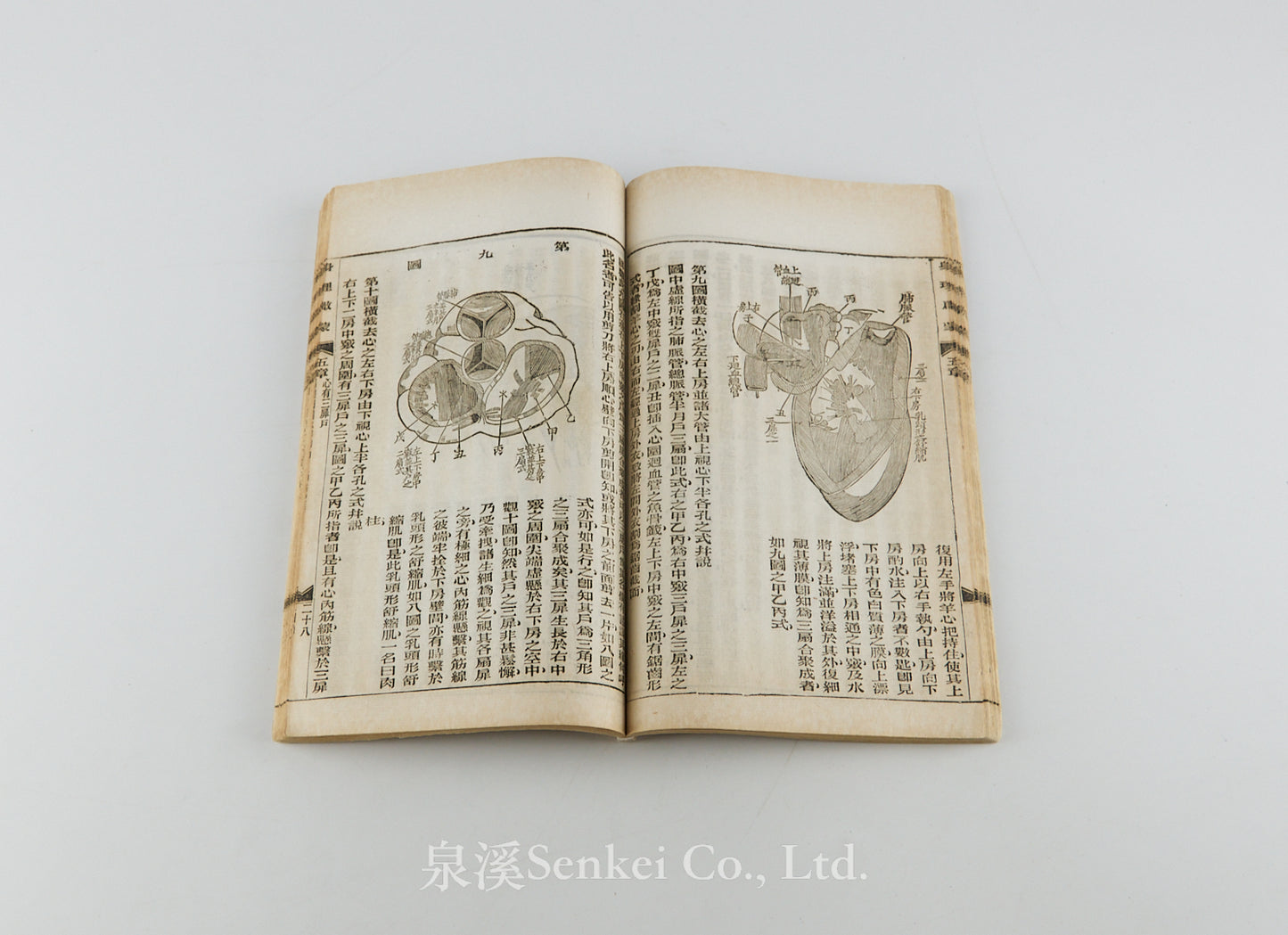 Shen Li Qi Meng 身理啟蒙 [Physiology Primer] Shanghai, 1898