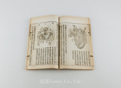 Shen Li Qi Meng 身理啟蒙 [Physiology Primer] Shanghai, 1898