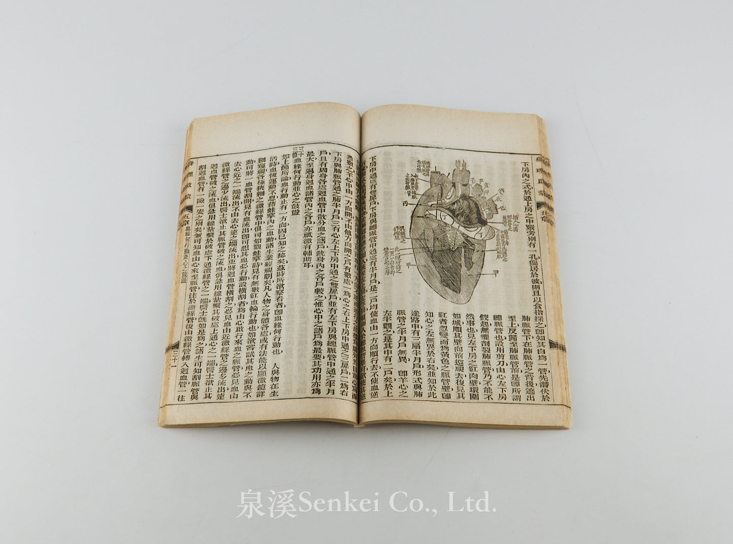 Shen Li Qi Meng 身理啟蒙 [Physiology Primer] Shanghai, 1898