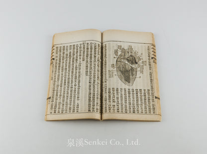 Shen Li Qi Meng 身理啟蒙 [Physiology Primer] Shanghai, 1898