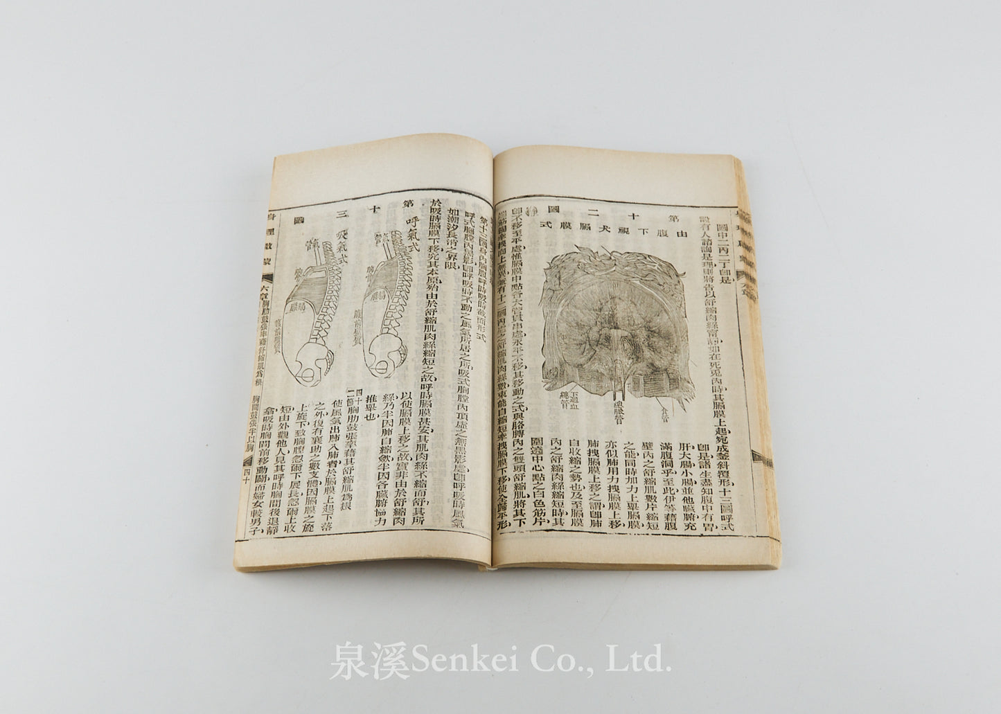 Shen Li Qi Meng 身理啟蒙 [Physiology Primer] Shanghai, 1898