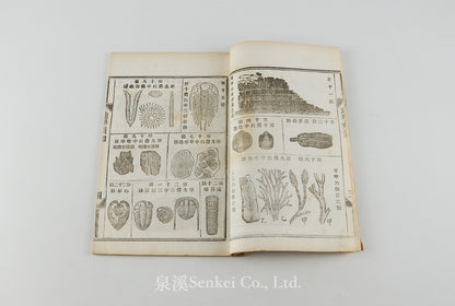 Di Sue Xu Zhi 地學須知 [Essentials of Geology] Shanghai, 1883