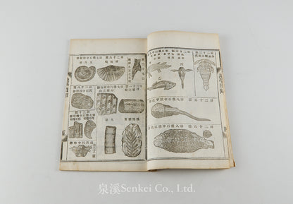 Di Sue Xu Zhi 地學須知 [Essentials of Geology] Shanghai, 1883