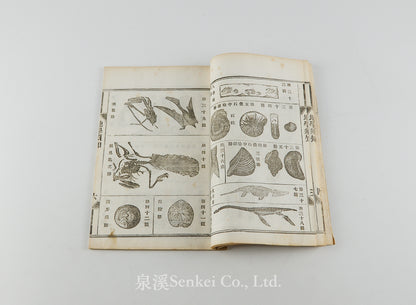 Di Sue Xu Zhi 地學須知 [Essentials of Geology] Shanghai, 1883
