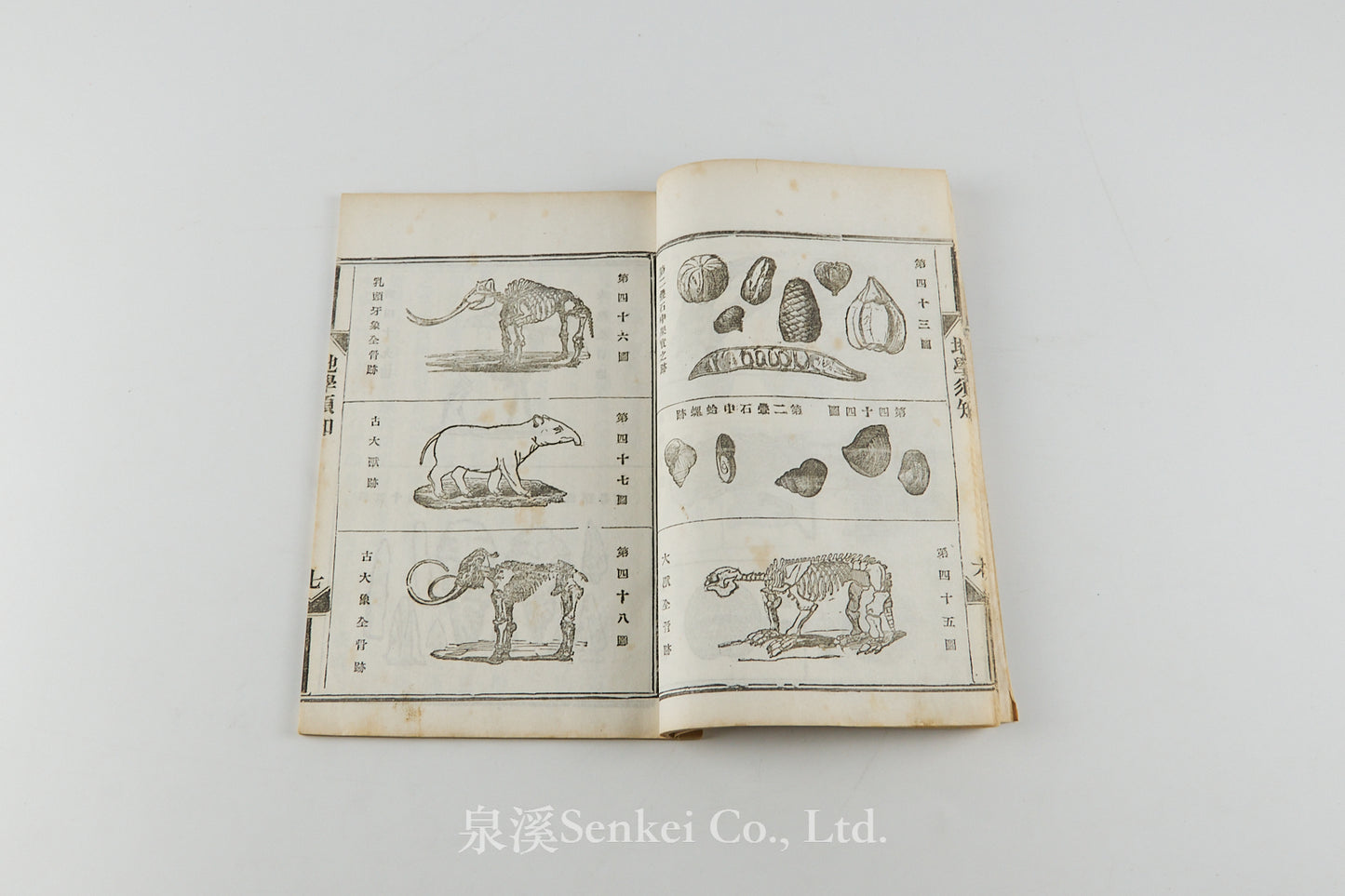 Di Sue Xu Zhi 地學須知 [Essentials of Geology] Shanghai, 1883