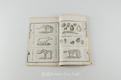 Di Sue Xu Zhi 地學須知 [Essentials of Geology] Shanghai, 1883