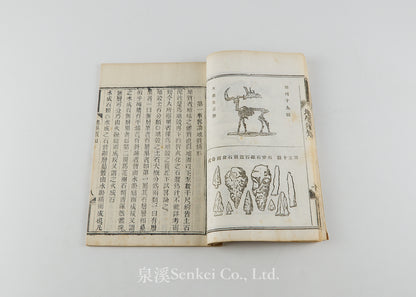 Di Sue Xu Zhi 地學須知 [Essentials of Geology] Shanghai, 1883