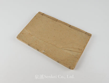 Sheng Ruo Se Yue 聖若瑟月 [Feast of Saint Joseph] 綿邑天主堂, Sichuan, 1902