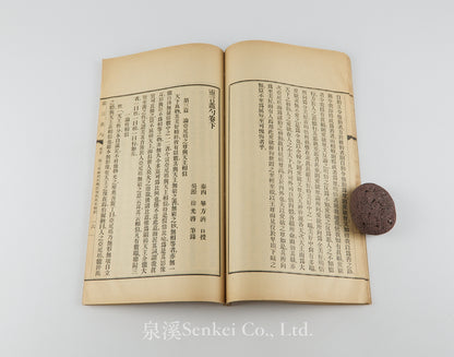 Ling Yan Li Shao 靈言蠡勺 [A Humble Inquiry into the Soul] Francesco Sambiasi and Xu Guangqi, Republican era