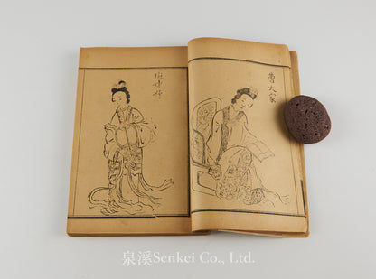 Zuguo Nüjie Wenhao Pu 祖國女界文豪譜 [Illustrated Biographies of Eminent Chinese Women Writers] 宣統元年 (1909), Qing dynasty