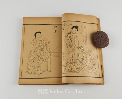 Zuguo Nüjie Wenhao Pu 祖國女界文豪譜 [Illustrated Biographies of Eminent Chinese Women Writers] 宣統元年 (1909), Qing dynasty