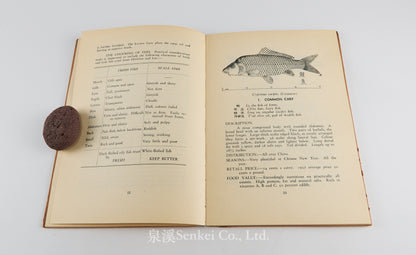 Common Food Fishes of Shanghai, 1939