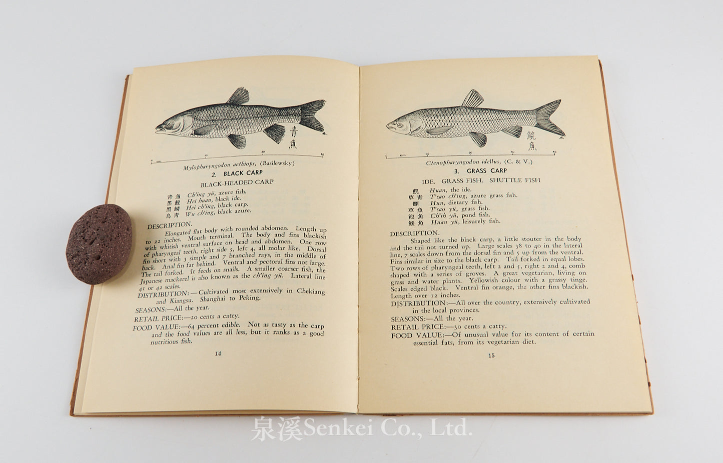 Common Food Fishes of Shanghai, 1939