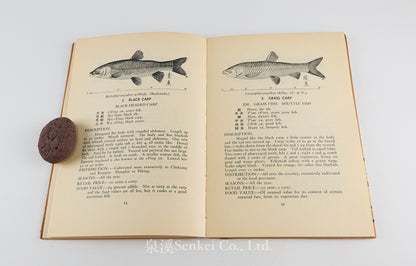 Common Food Fishes of Shanghai, 1939