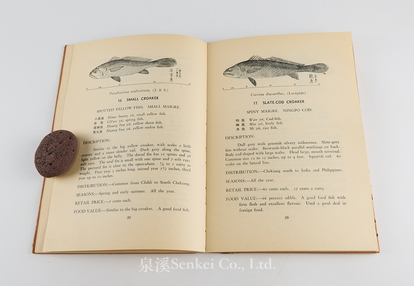 Common Food Fishes of Shanghai, 1939