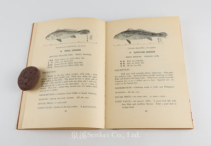Common Food Fishes of Shanghai, 1939
