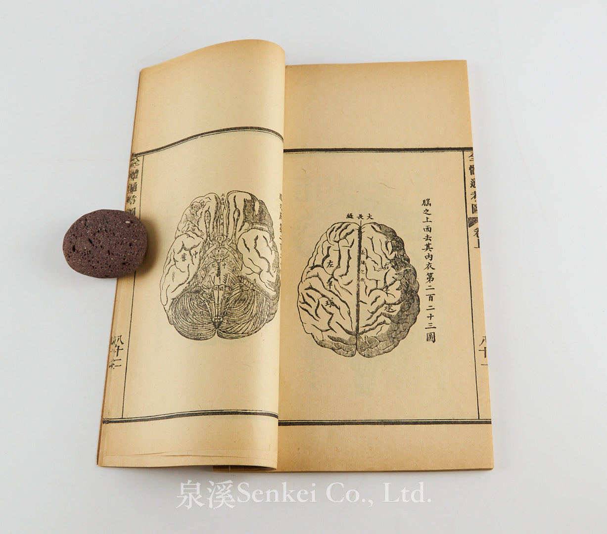 Quan Ti Tong Kao 全體通考 [Chinese Translation of Gray’s Anatomy by John Dudgeon] Peking, 1886