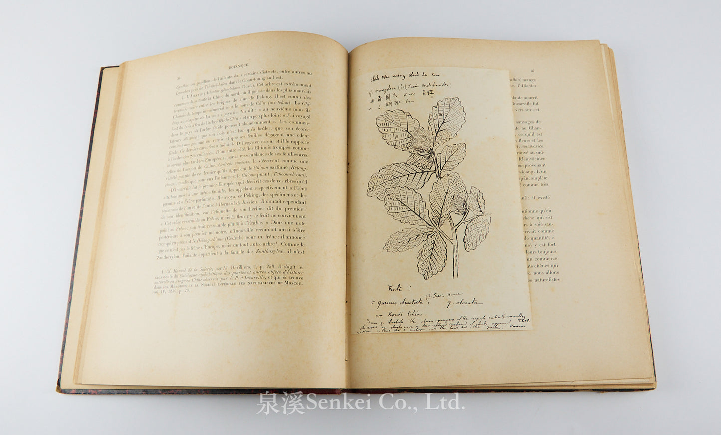 Fauvel, Albert A. — [Author’s Copy] Les séricigènes sauvages de la Chine, with Original Drawings, Watercolors, Silkworm, Cocoon, and Silk Specimens, and Authorial Additions
