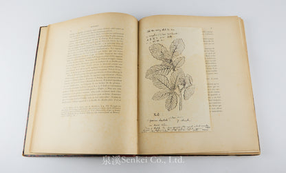 Fauvel, Albert A. — [Author’s Copy] Les séricigènes sauvages de la Chine, with Original Drawings, Watercolors, Silkworm, Cocoon, and Silk Specimens, and Authorial Additions